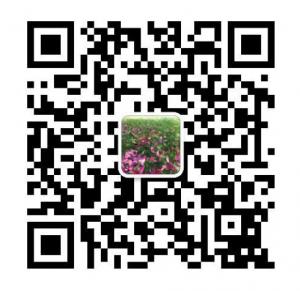 最爱大衡阳微信公众号