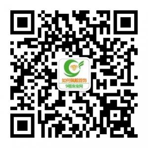 教你佩戴首饰微信公众号