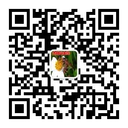 新县大别山土蜂蜜微信公众号