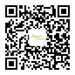 棒女郎招微商微信公众号