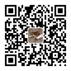 生活搞笑视频微信公众号