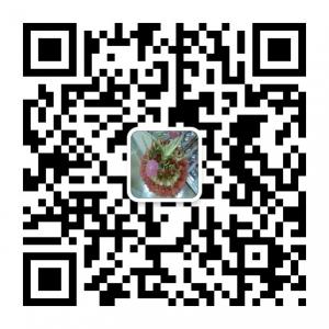 衡东岭茶人微信公众号