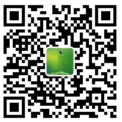 伟林樟子松苗圃微信公众号