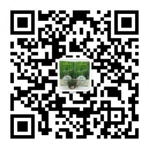 甘祖大麦若叶青汁