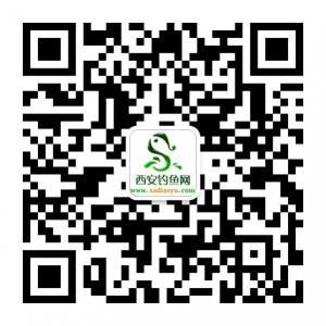 西安钓鱼网微信公众号