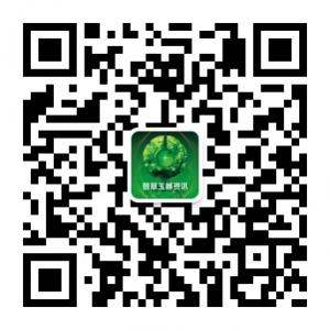 翡翠玉器资讯微信公众号