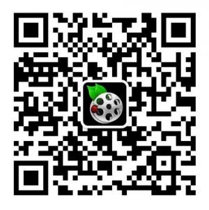 天天电影圈微信公众号