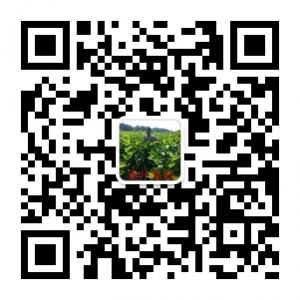 GS蚕桑文化资讯传微信公众号