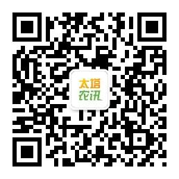 太塔农讯订阅号微信公众号