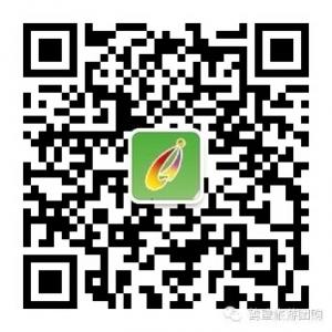 鹤壁假日旅游微信公众号