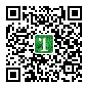 一千零一叶微信公众号
