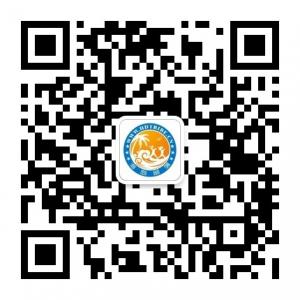 善丝美-海岛部落微信公众号