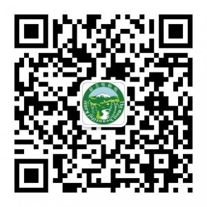 最美喀纳斯微信公众号