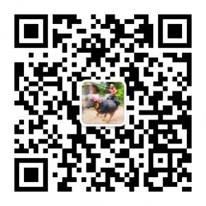 盘点热门话题微信公众号