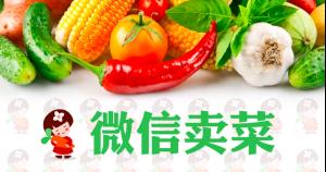 小农女送菜”从腾讯离职到微信卖菜的3个月