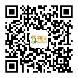 广州市千稻夫贸易有限公司微信公众号
