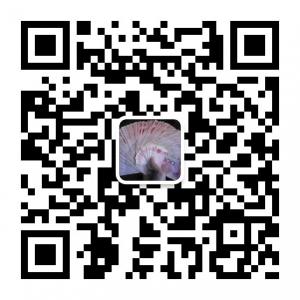 21世纪的生意经微信公众号