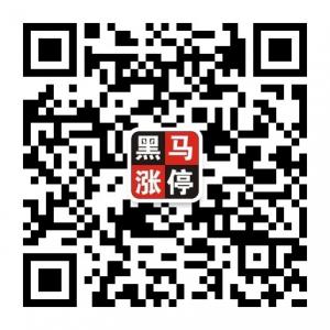 黑马涨停牛股微信公众号