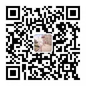 经典网络小说推荐微信公众号