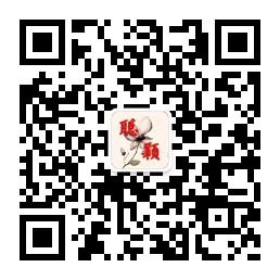 聪颖工作室微信公众号