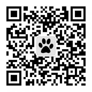 黑猫是个猫微信公众号