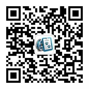 搜狗狗电影微信公众号