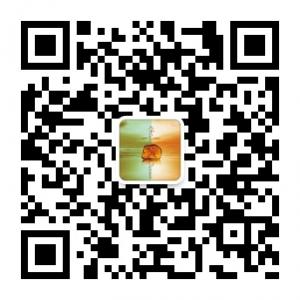 中国完形教育陈焰微信公众号