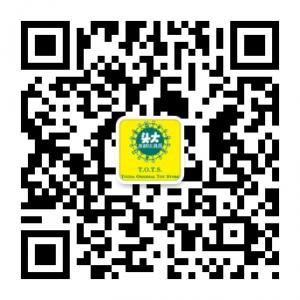 头大原创玩具房微信公众号