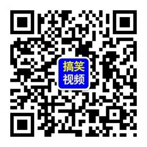 泰安奇葩视频微信公众号