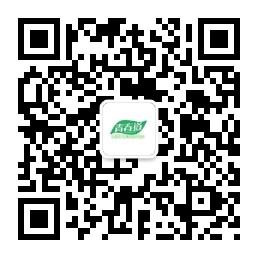 云南辣木籽精片批发代理零售印度微信公众号
