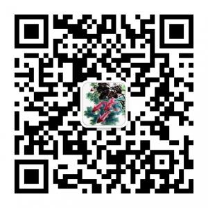 每天懂点趣味历史微信公众号