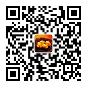 微时代赢天下微信公众号