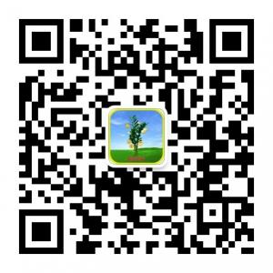 鑫丰源苗木花卉微信公众号