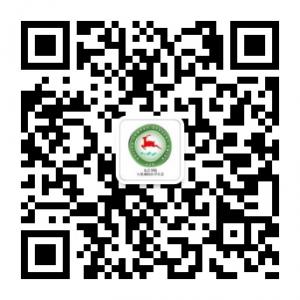 九江学院八里湖校微信公众号