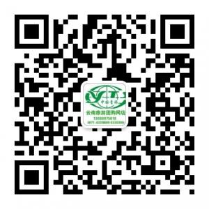 云南中青国际旅行微信公众号