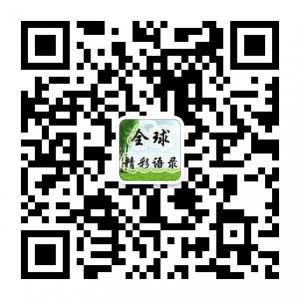 语录精选转一转微信公众号