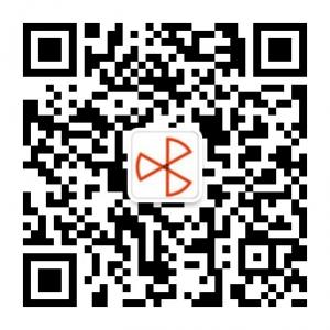 艺彬网眼布欧根纱蕾丝批发微信公众号