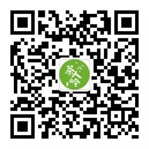 茶人岭官方旗舰微微信公众号