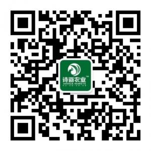 湖南诗画农业科技微信公众号