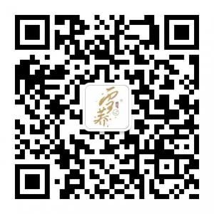 深圳雪荞食品微信公众号