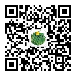 黄秋葵种植推广交微信公众号