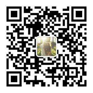 当我途经你的盛放微信公众号