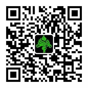 西双版纳望天树景微信公众号