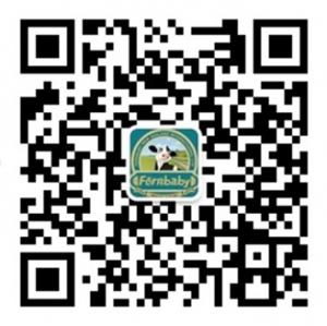 斐婴宝妈妈计划微信公众号