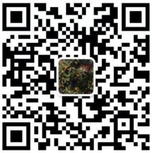 金核桃美国代购微信公众号