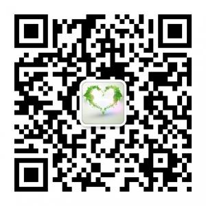 爱上你我他微信公众号