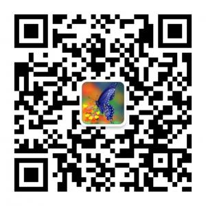 巴芙奈真皮女包微信公众号