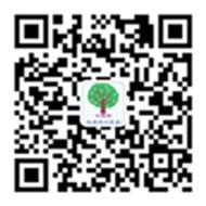 大槐树优质进口贸微信公众号