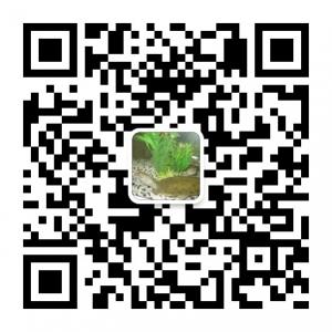 中国甲鱼之乡微信公众号