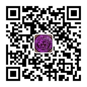 艺术光纤灯微信公众号